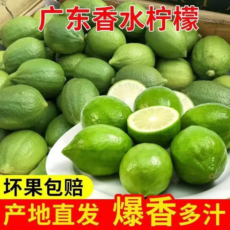 【官方推荐】广东鲜果香水柠檬二级果无籽四季奶茶店专用
