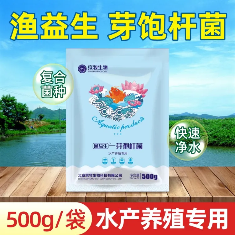 复合芽孢杆菌免发酵水产养殖稳定水质抑制蓝藻降氨氮
