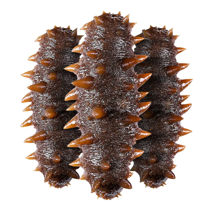 大连即食营养方便肉质肥厚海参净重500g装 新鲜食用解冻8-10只