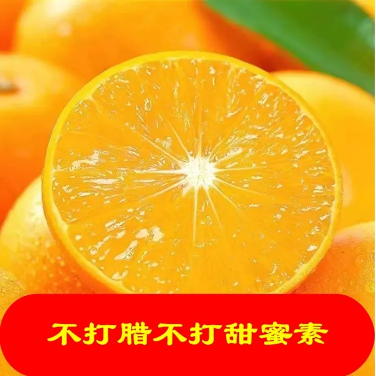 顺丰包邮湖南特产雷坪宝华冰糖橙自家果园现摘现发脆甜无渣