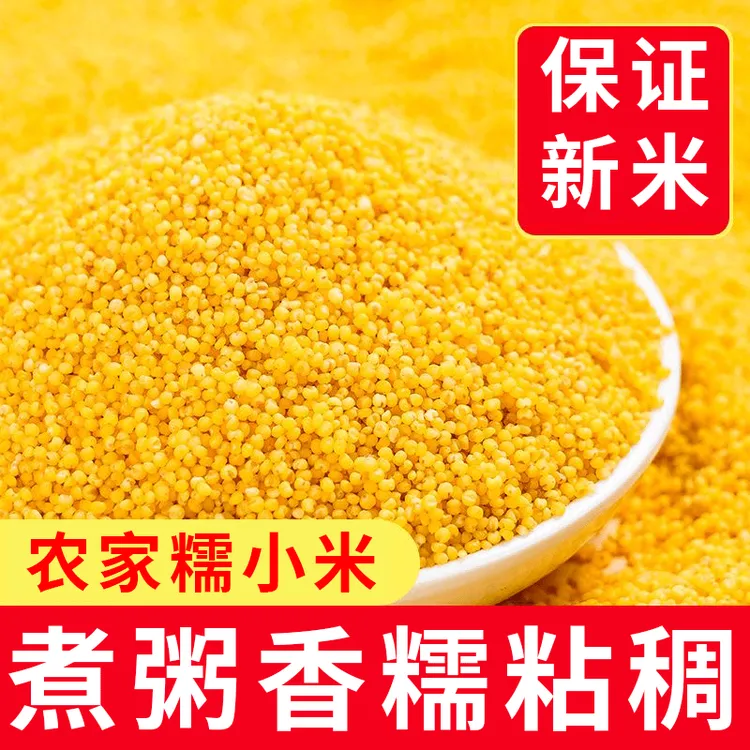 【24年新米】大金苗黄小米粥杂粮五谷杂粮粥香糯粘稠小黄米