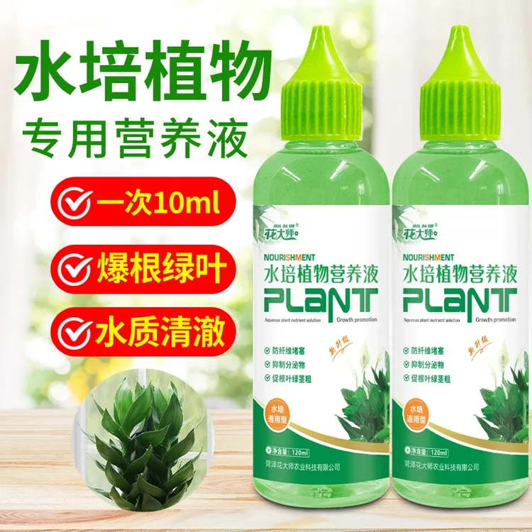 水培植物专用营养液富贵竹转运竹巴西木郁金香绿萝铜钱草通用肥料
