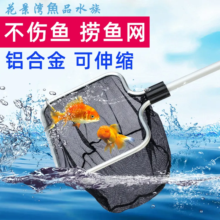 捞鱼网兜伸缩杆网兜大号抄网锦鲤鱼缸渔网鱼捞网抄金鱼网捞虾捞网