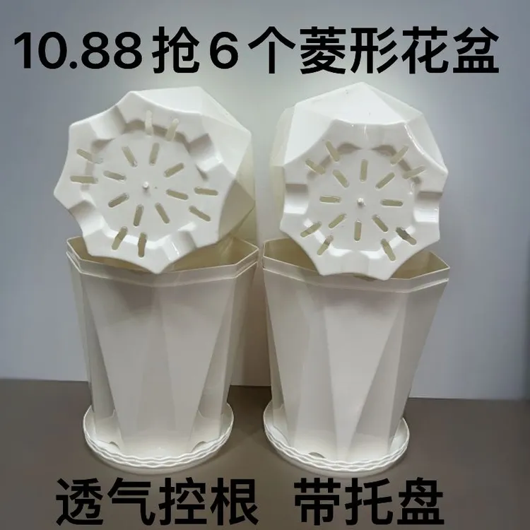 6个【对角16.5高16.5左右】155白色菱形花盆带托盘控根