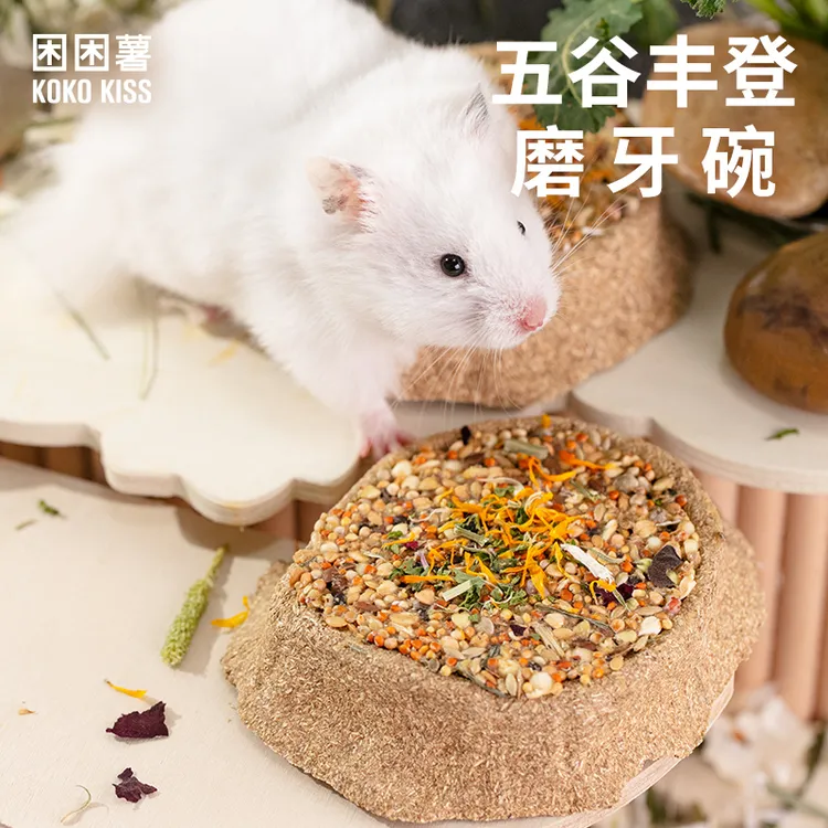 KOKOKISS仓鼠金丝熊磨牙碗仓鼠零食磨牙玩具仓鼠互动玩具零食
