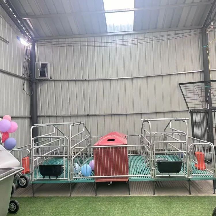 母猪产床猪用复合板整体产床限位栏保育床产保一体双体分娩床
