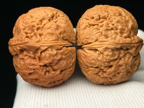 43mm乾坤珠 云南铁核桃