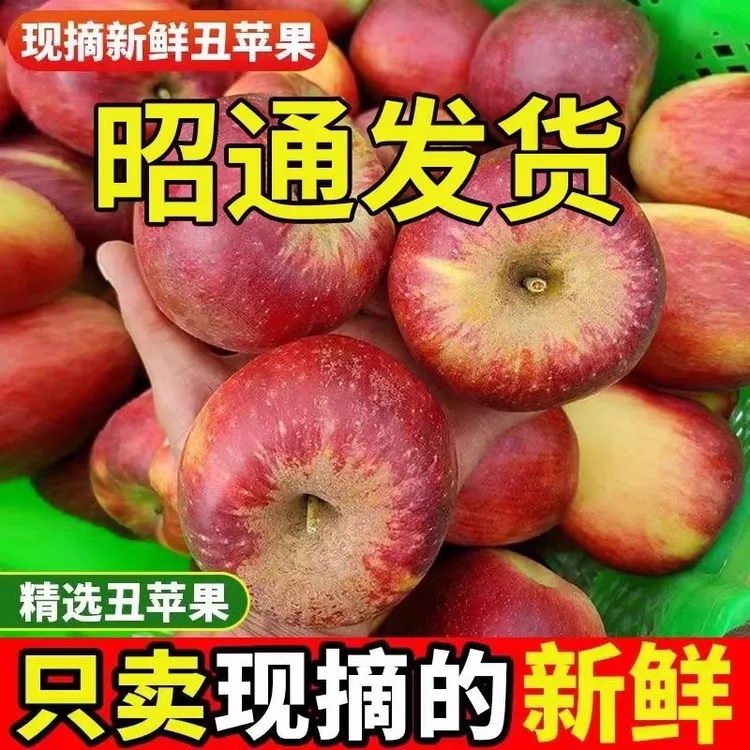 3斤正宗云南昭通冰糖心丑苹果 水果新鲜 当季富士糖心苹果脆甜