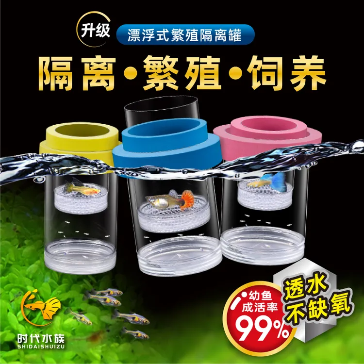 时代大号孔雀鱼饲养隔离盒小鱼鱼苗斑马幼鱼母鱼孔雀鱼繁殖隔离盒