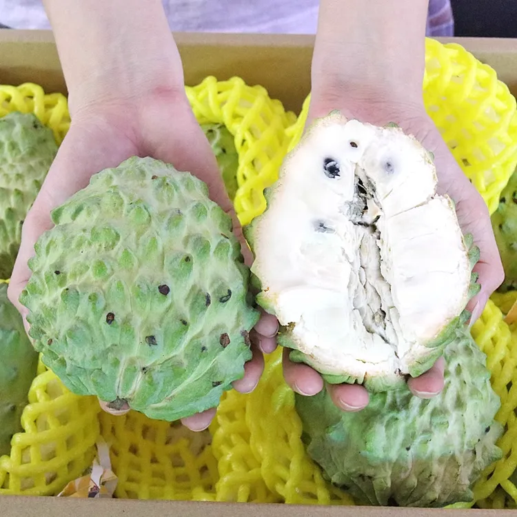 广西释迦果牛奶释迦果新鲜佛头摩尼果当季水果中秋送礼礼盒5装