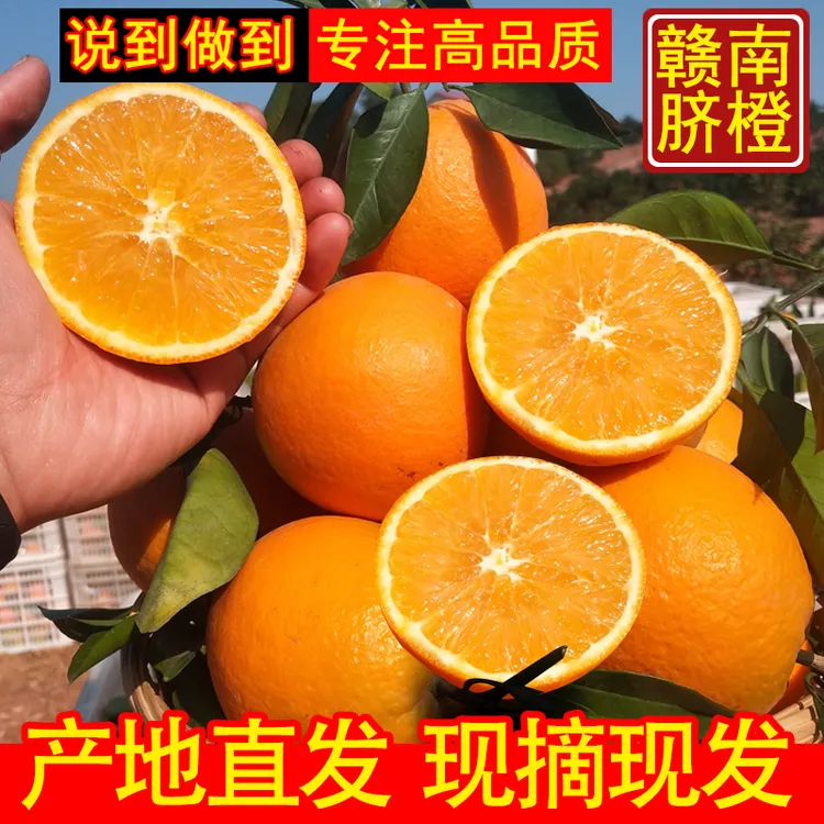 【赣南信丰脐橙】赣南脐橙现摘现发新鲜水果1/5/10斤装孕妇甜橙子