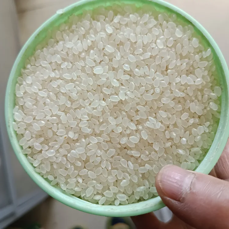 吉林辉南农家大米小粒香大米，哏就有嚼劲米质饱满冷饭不回生10斤