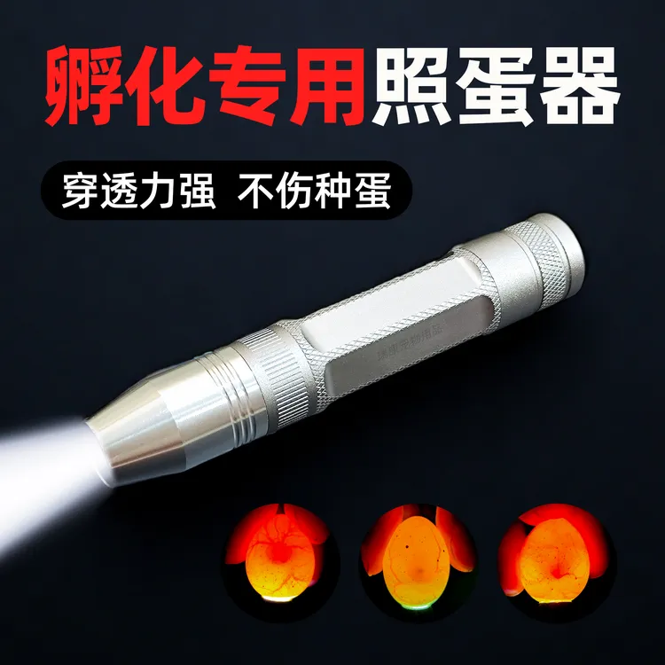 孵化专用强光照蛋器LED冷光灯芦丁鸡鸭鸽鹦鹉鸟受精种蛋冷光充电
