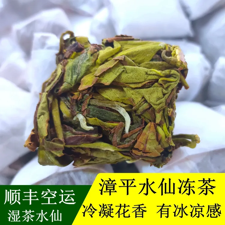 漳平水仙冻茶金龙壶 水仙湿茶 鲜香500克顺丰空运花香型真空装