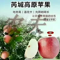 吕洞宾故里山西芮城中条山红富士苹果脆甜多汁红富士正宗苹果