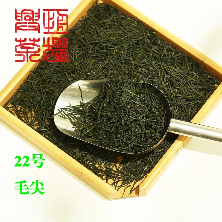 毛尖直条蒙顶山绿茶浓香耐泡口感醇香高山新茶MJ022茶叶