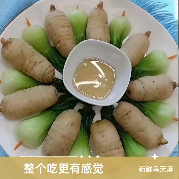 精选新鲜花粉乌天麻高山带泥现挖云南昭通小草坝野外种植泡酒烹饪