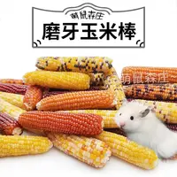 仓鼠零食玉米磨牙棒荷兰猪龙猫豚鼠兔子营养粮食金丝熊迷你小玉米