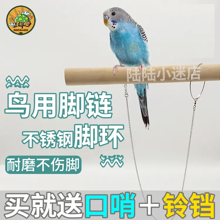 鹦鹉脚环脚链不锈钢鸟链子虎皮八哥牡丹玄凤鸟放飞绳站架鸟链用品