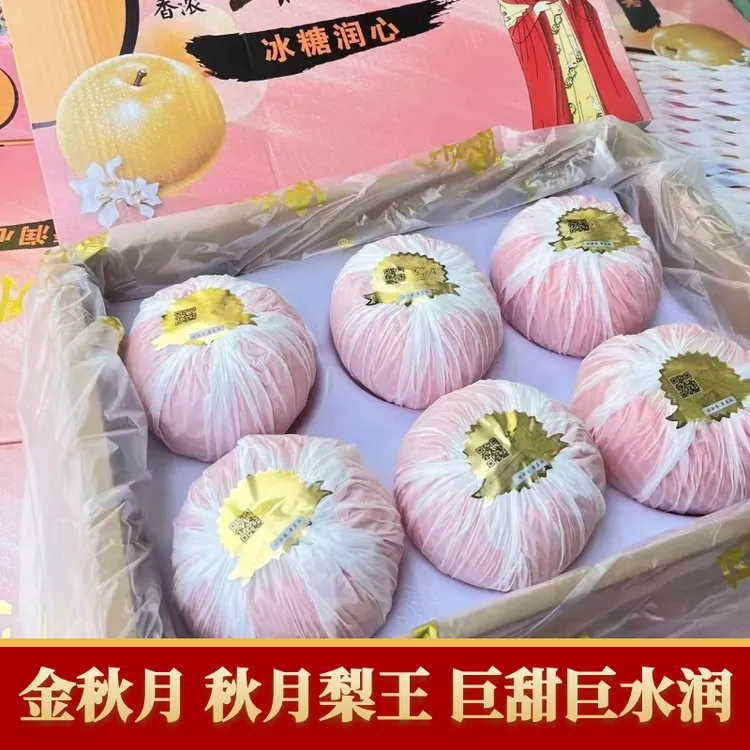 正宗山东莱阳金秋月梨王特大果6粒装纯甜多汁孕妇水果新鲜礼盒