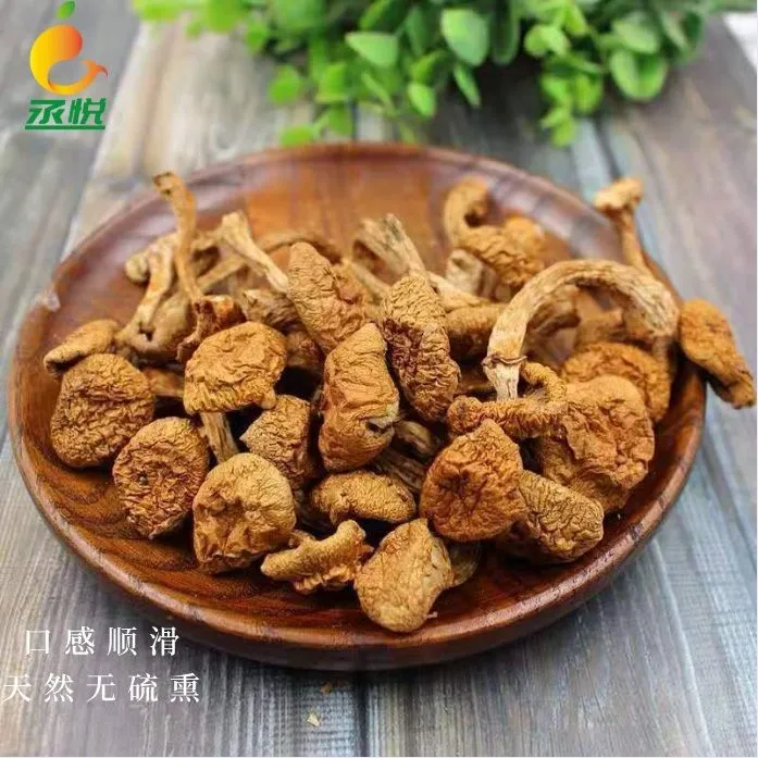 东北小蘑菇东北非野生滑子菇干货小黄磨滑菇香菇小鸡炖蘑菇煲汤