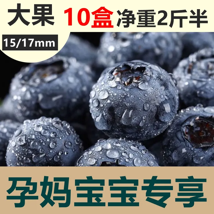 【蓝莓大果】 15/17mm+ 125克/盒  净重2.5斤 现摘现发当季水果