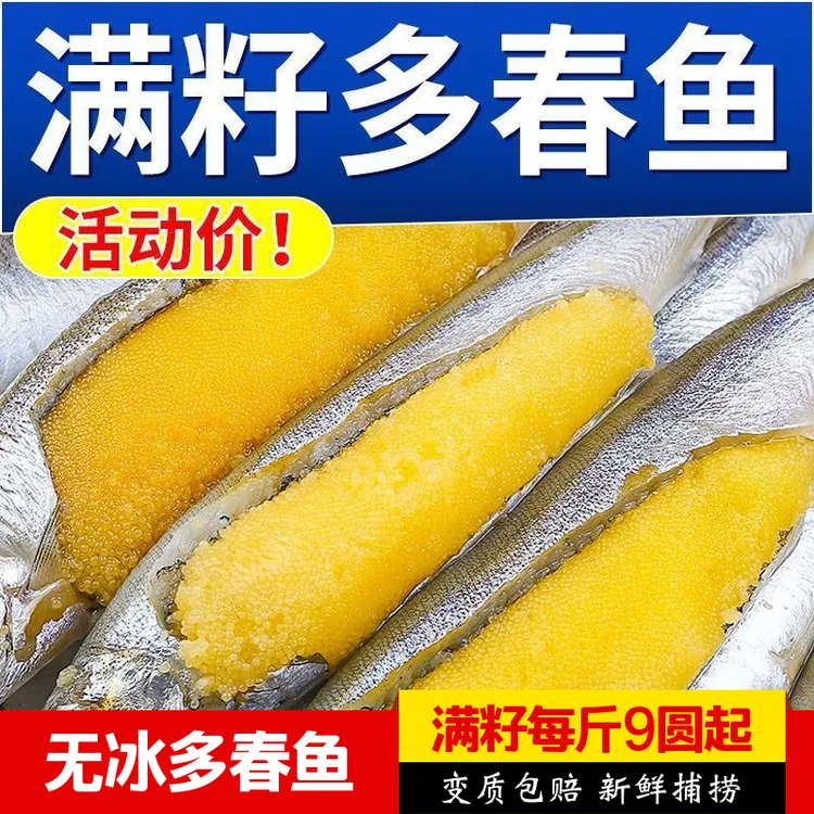 满籽多春鱼新鲜多籽鱼冷冻特大带籽海鱼烧烤食材包邮