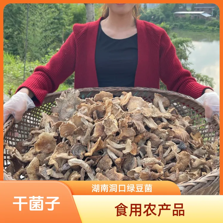 青头菌杂菌子湖南洞口特产干货青头菇菌类蘑菇煲汤炒菜食材绿豆菌