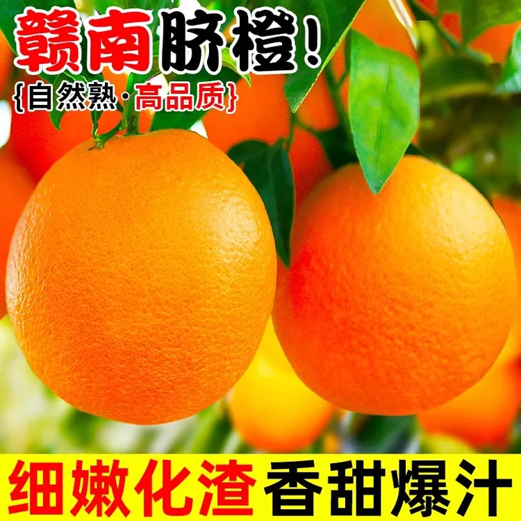 赣南脐橙10KG现摘现发果园直发