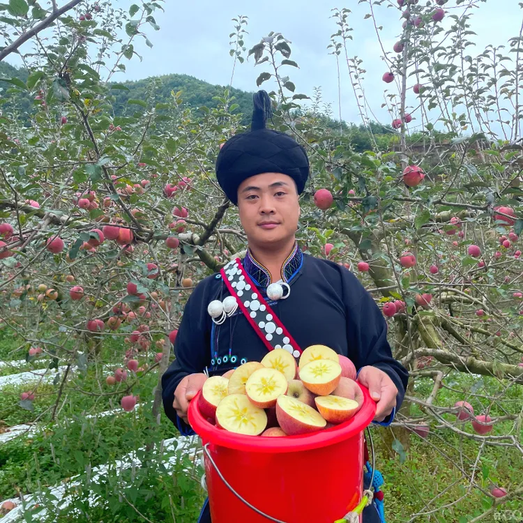 【昭通苹果】昭通丑苹果新鲜脆甜多汁正宗冰糖心丑苹果昭通产地直发