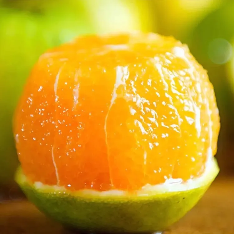 云南哀牢山冰糖橙青皮橙子应季新鲜采摘酸甜老树花皮果