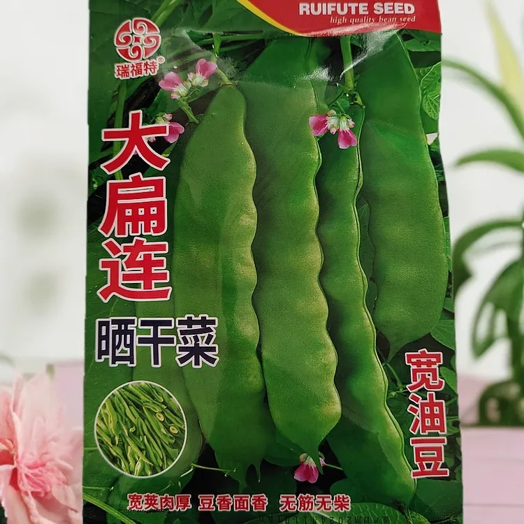 大扁连晒干菜豆角籽