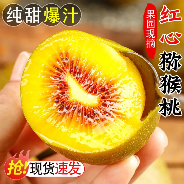 四川蒲江红心猕猴桃10-30个奇异果新鲜当季现摘孕妇水果大果弥绿