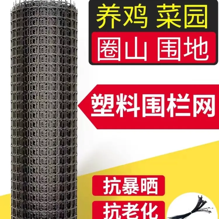 1.9毫米厚高品质养殖围网双向耐用种植防护网厂家直销塑胶养殖网