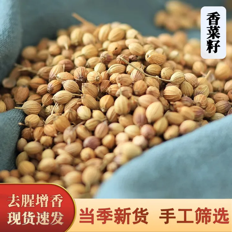 【现货速发】香菜籽食用大芫茜种子川菜卤味香料农家干货芫荽籽调味