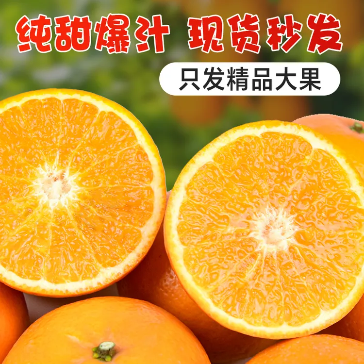 广西正宗武鸣沃柑 爱媛柑橘 新鲜 香甜多汁5斤-9斤中大果现摘现发