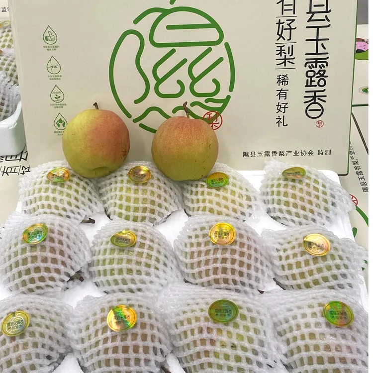 （瑕疵果不影响口感）山西隰县玉露香梨应季水果