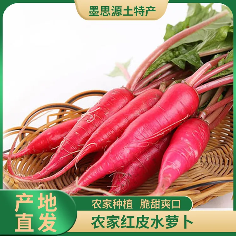 【顺丰/京东空运】东北新鲜红皮水萝卜脆甜爽口农家现摘现发蘸酱菜