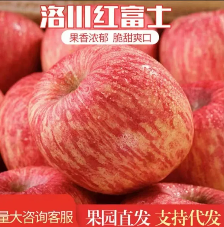 【坏果包赔】产地直发陕西洛川苹果 黄土高原红富士 脆甜多汁
