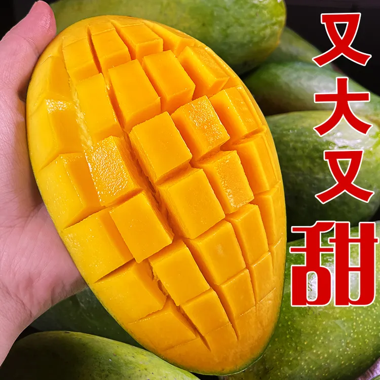 精选果王 海南金煌芒青皮 新鲜水果5-9斤装 纯甜无酸（广西仓发）