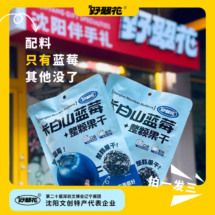 东北特产长白山蓝莓干3/5/10袋独立包装开袋即食纯果果干无添加