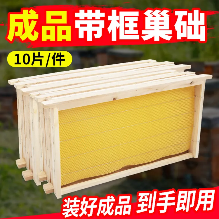 中意蜂用带框巢础成品巢框带框巢础杉木蜜蜂养蜂工具五个十个装