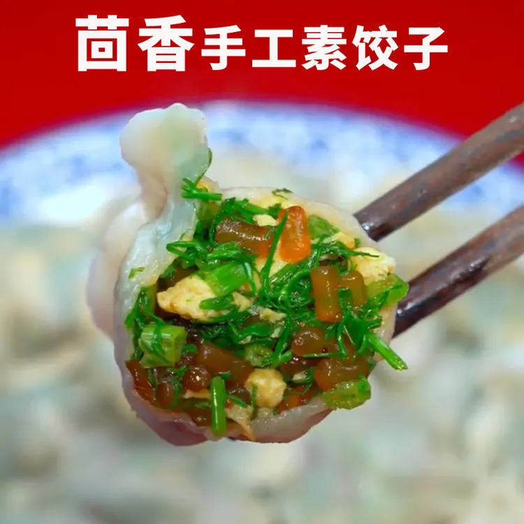 【纯素馅饺子】山东大娘手工包水饺多口味荠菜茴香韭菜鸡蛋馅水饺