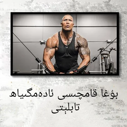 buga kamqisi adamgiya tapliti 墙画新疆包邮