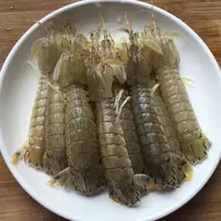 全活 中号公皮皮虾3斤 保鲜不保活 大小不匀