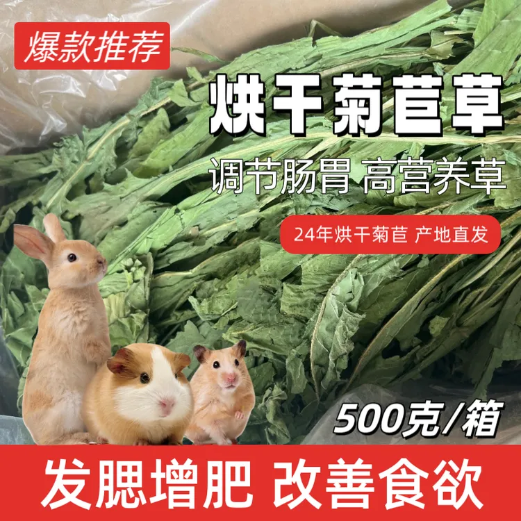 25年烘干菊苣优质叶发腮增肥营养草| 豚鼠兔子荷兰猪龙猫新鲜