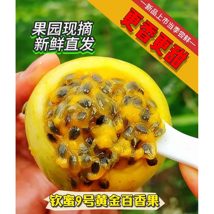 黄金百香果中小果1斤（尝鲜装，送开果器）