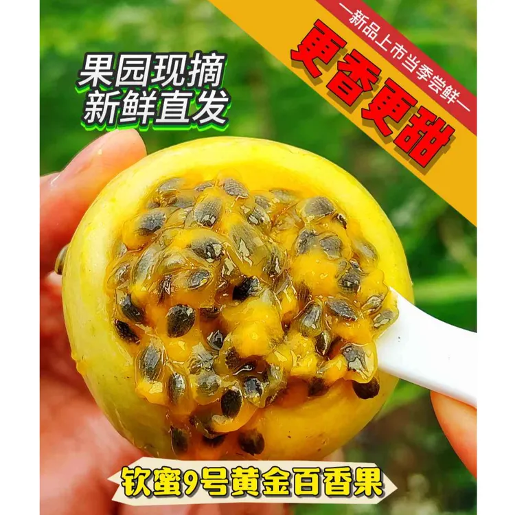黄金百香果大果3斤（送开果器）