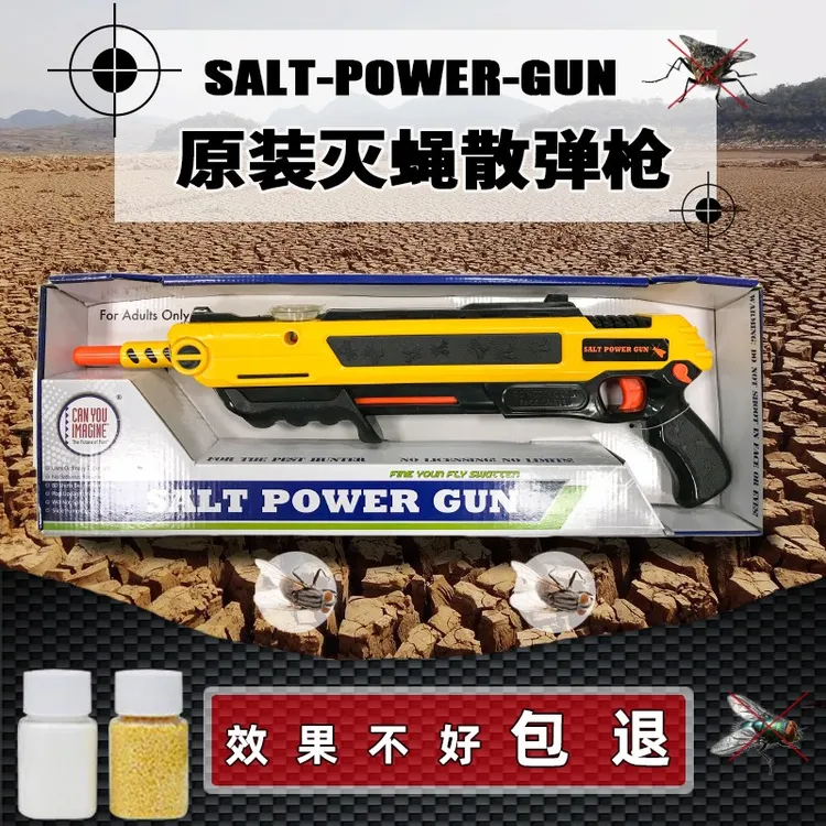 盐枪灭蝇散弹枪玩具灭蚊打苍蝇枪创意玩具枪