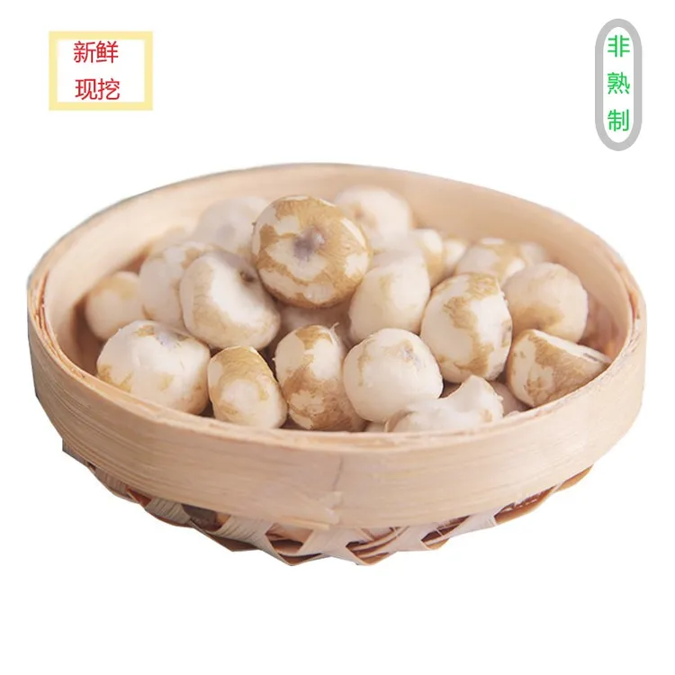 阳江珍珠马蹄小荸荠香糯阳江产地新鲜直发 250g/包非冻品非熟制